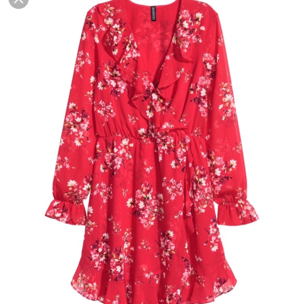 H&M Floral Chiffon Dress